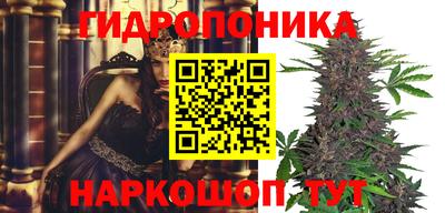 ешки Славгород