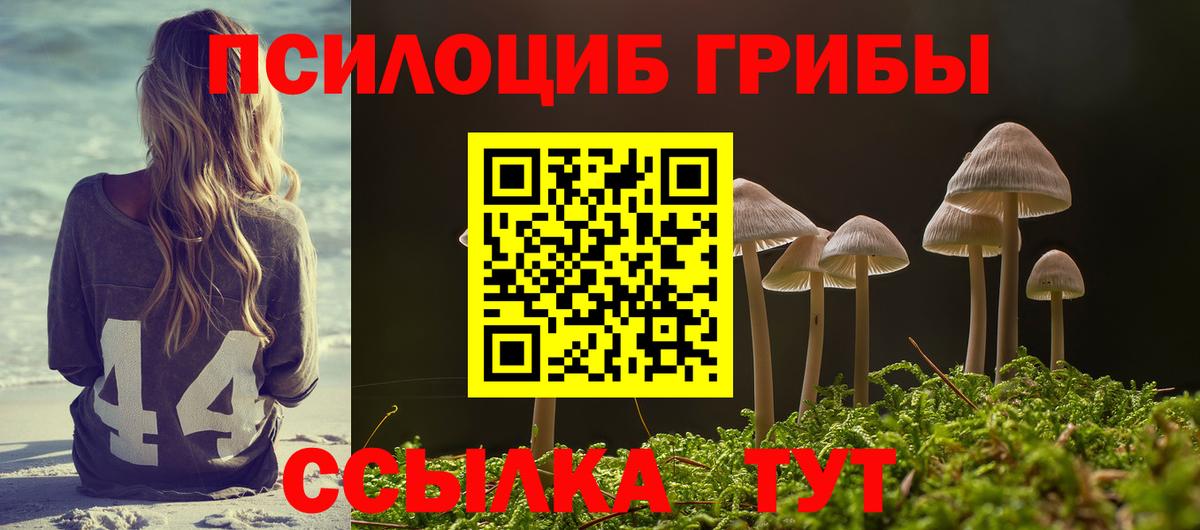 Псилоцибиновые грибы ЛСД Новоалтайск